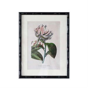 Castleford Matted Frame - Assorted Sizes