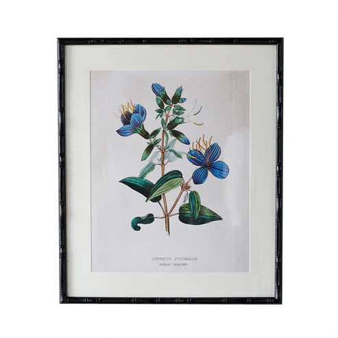 Castleford Matted Frame - Assorted Sizes