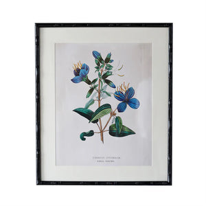 Castleford Matted Frame - Assorted Sizes