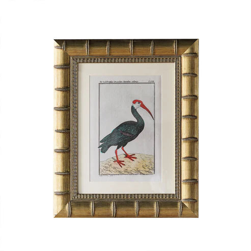Brixham Matted Frame - Assorted Sizes