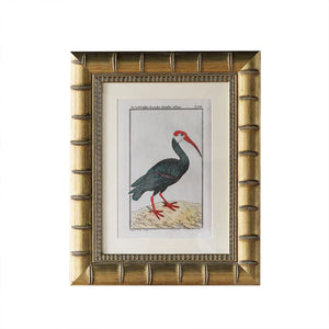 Brixham Matted Frame - Assorted Sizes