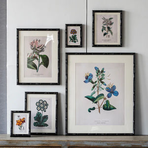 Castleford Matted Frame - Assorted Sizes