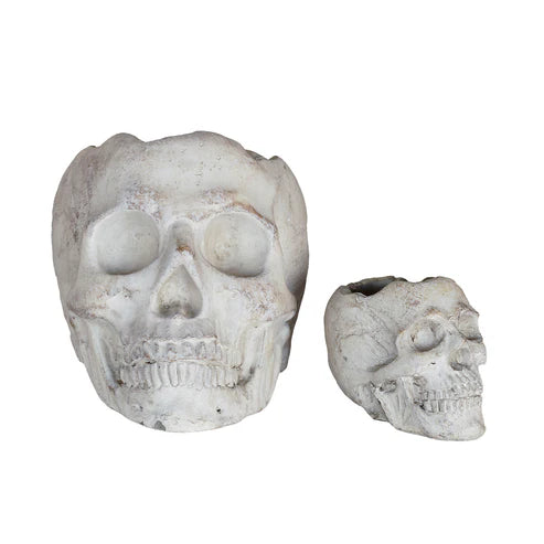 Concrete Skull Planter