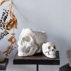 Concrete Skull Planter