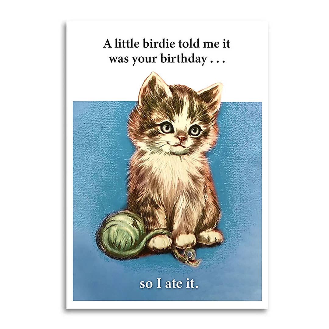 A Little Birdie Told Me It Was Your Birthday Card - Box Turtle