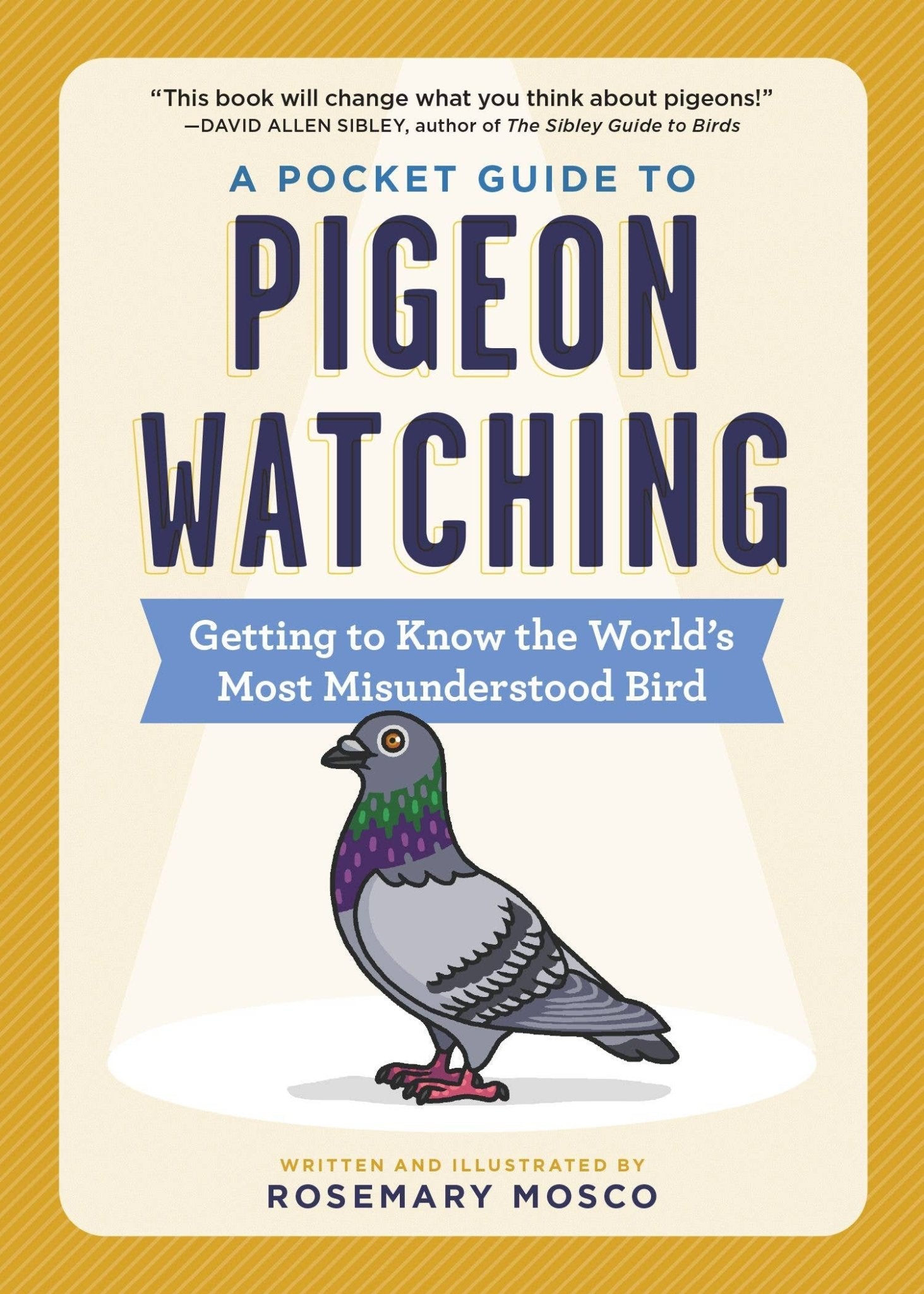 A Pocket Guide to Pigeon Watching - Box Turtle