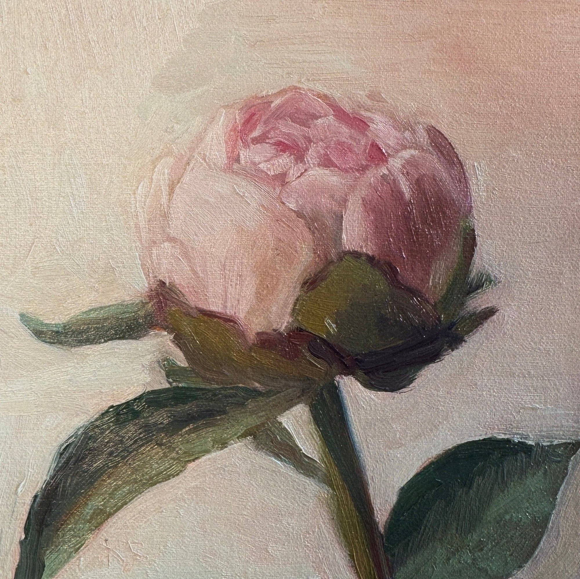A Simple Peony - Box Turtle