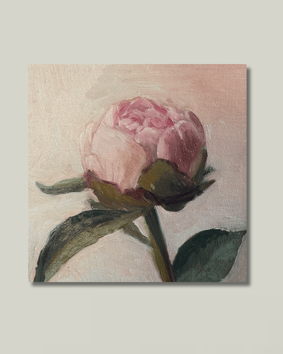 A Simple Peony - Box Turtle