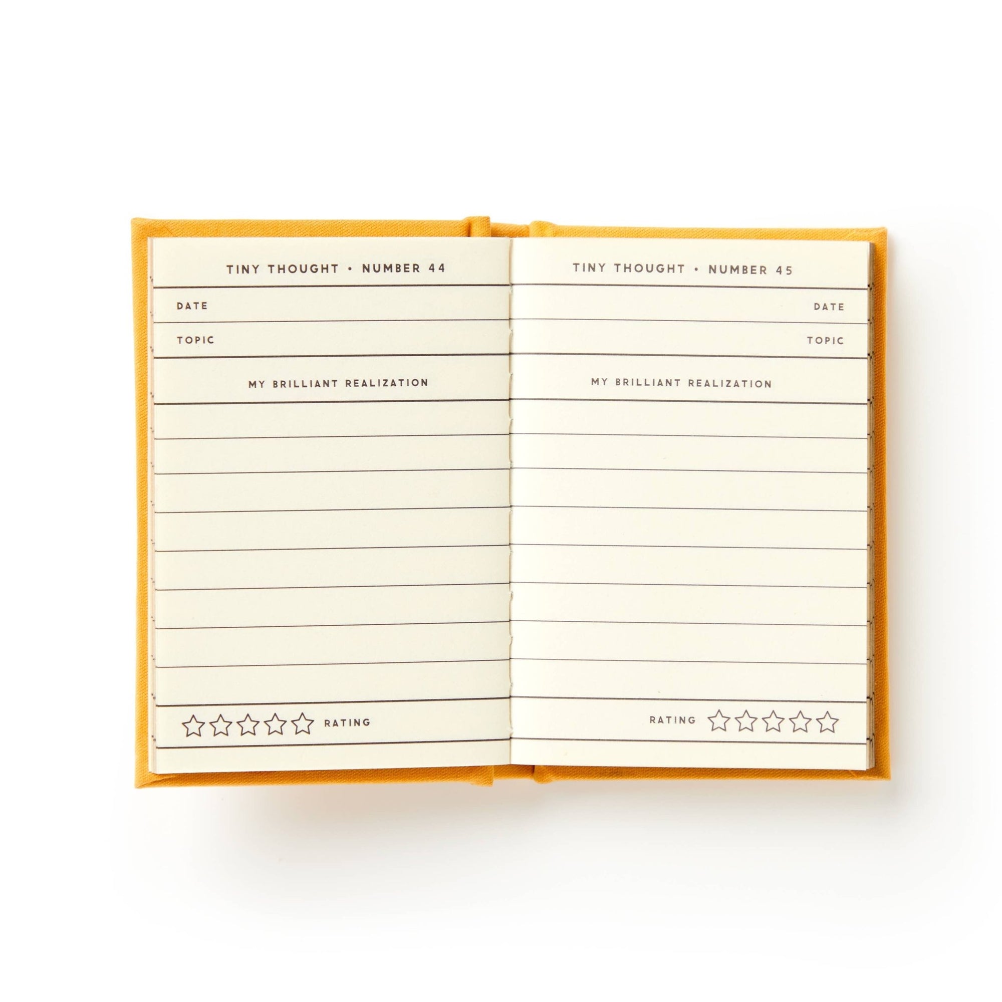 A Tiny Diary for Tiny Thoughts - Box Turtle
