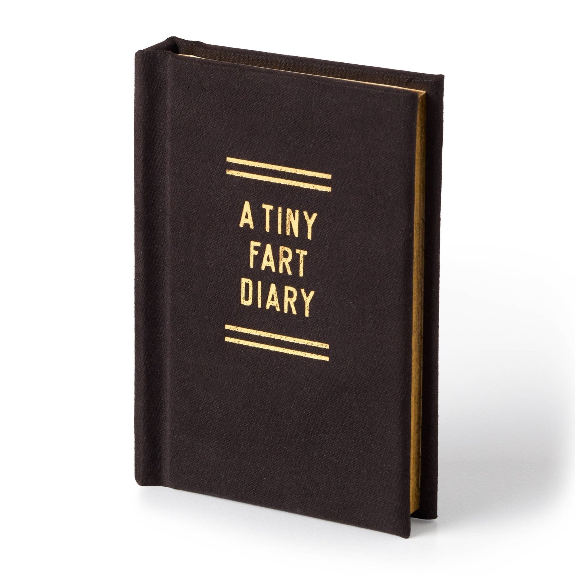A Tiny Fart Diary - Box Turtle