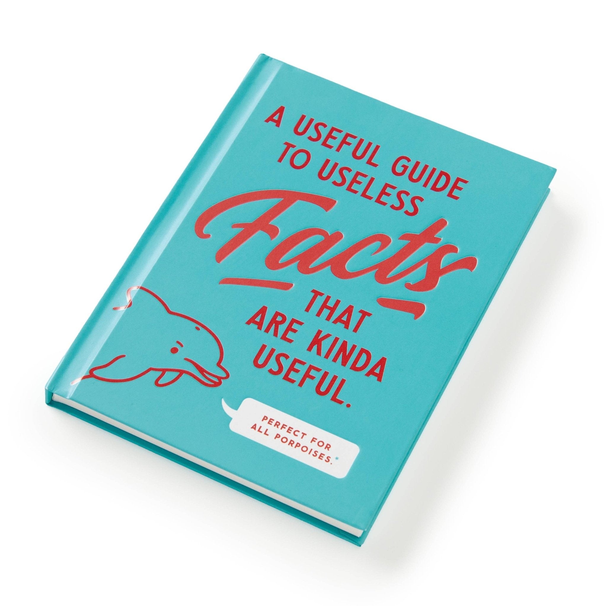 Box Turtle - A Useful Guide to Useless Facts