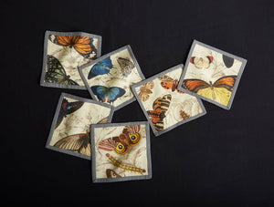 Specimen Cocktail Napkins