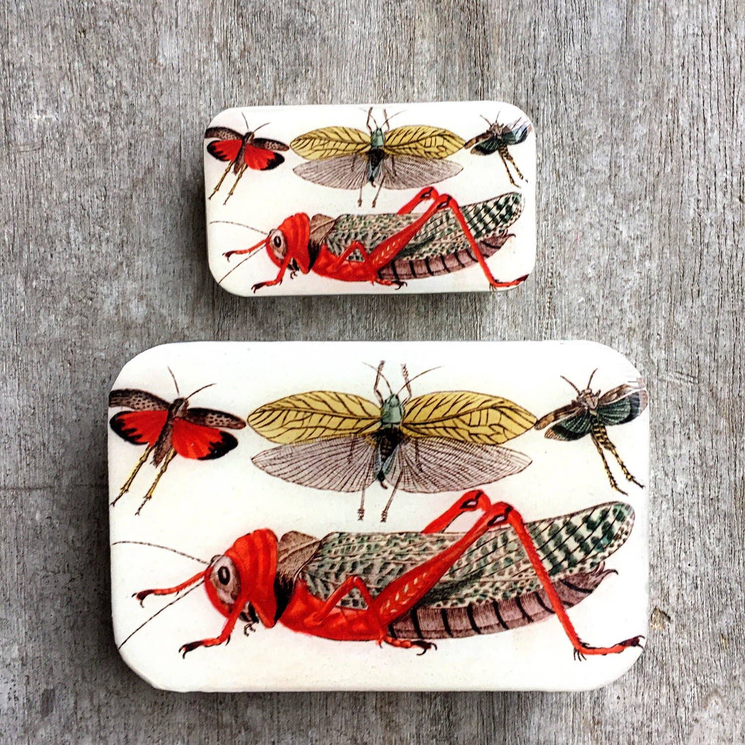 Cricket Trinket Tin