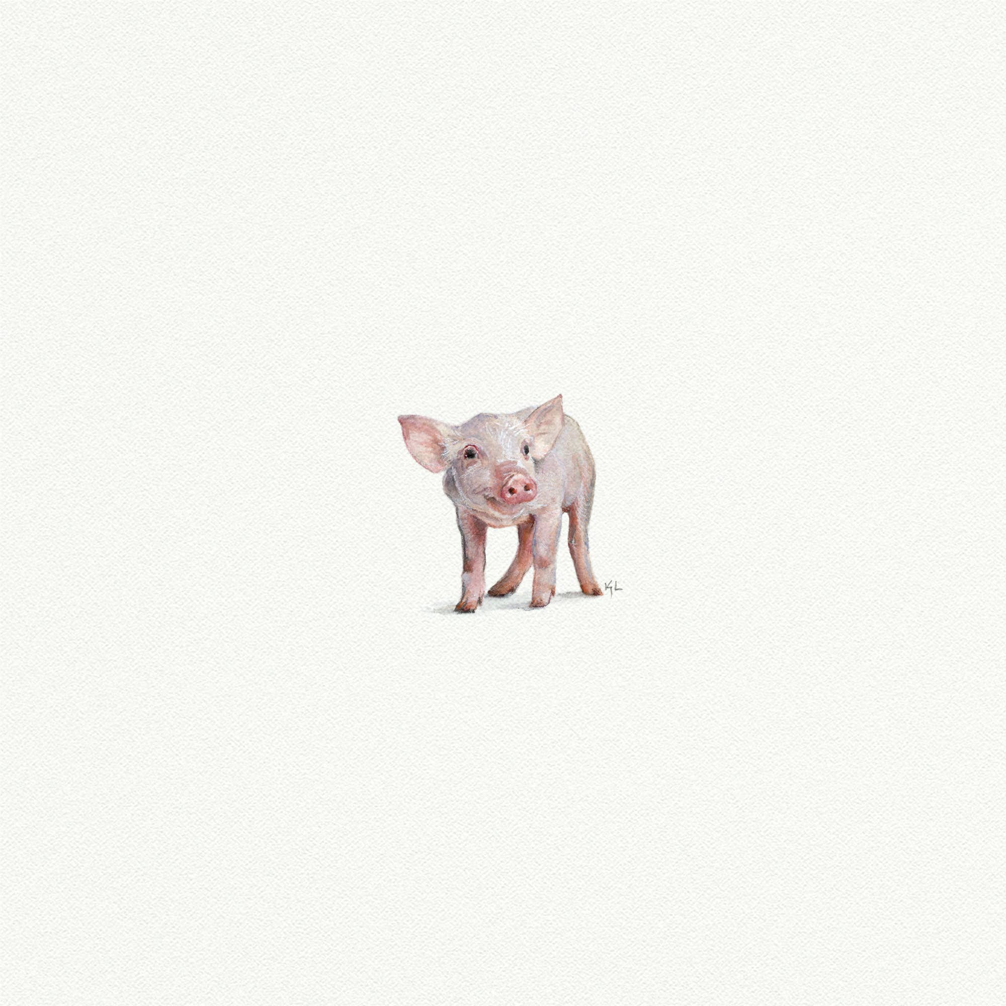 Pig Miniature Watercolor Print