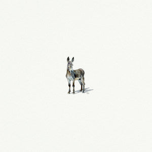 Donkey Miniature Watercolor Print