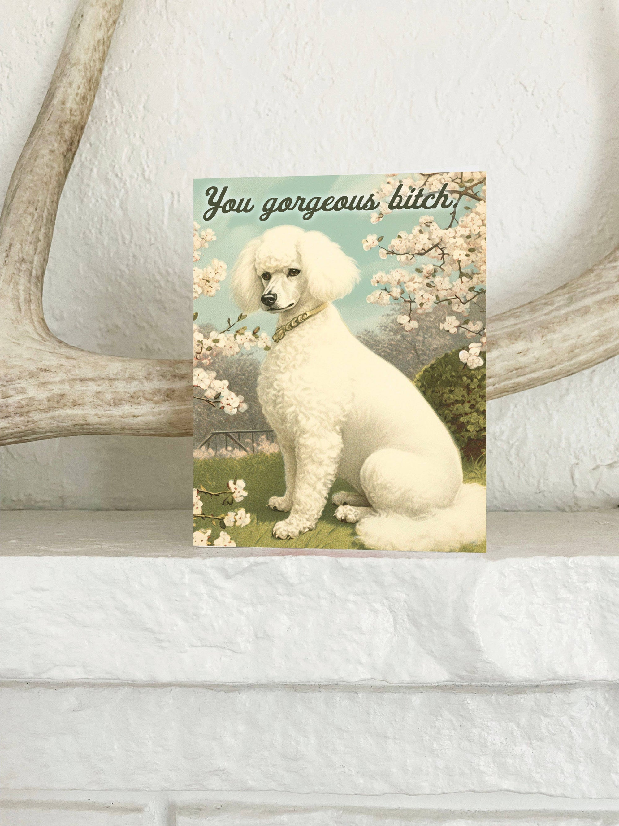 You Gorgeous Bitch Poodle Funny Card