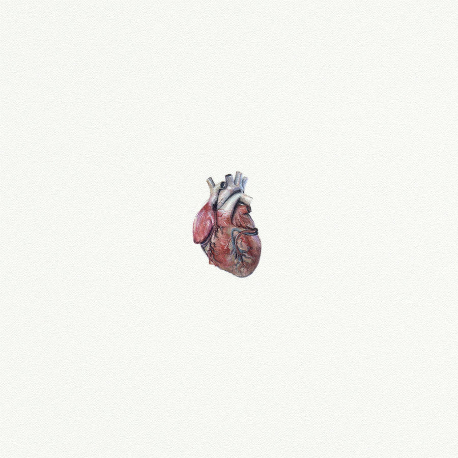 Anatomical Heart Miniature Watercolor Print