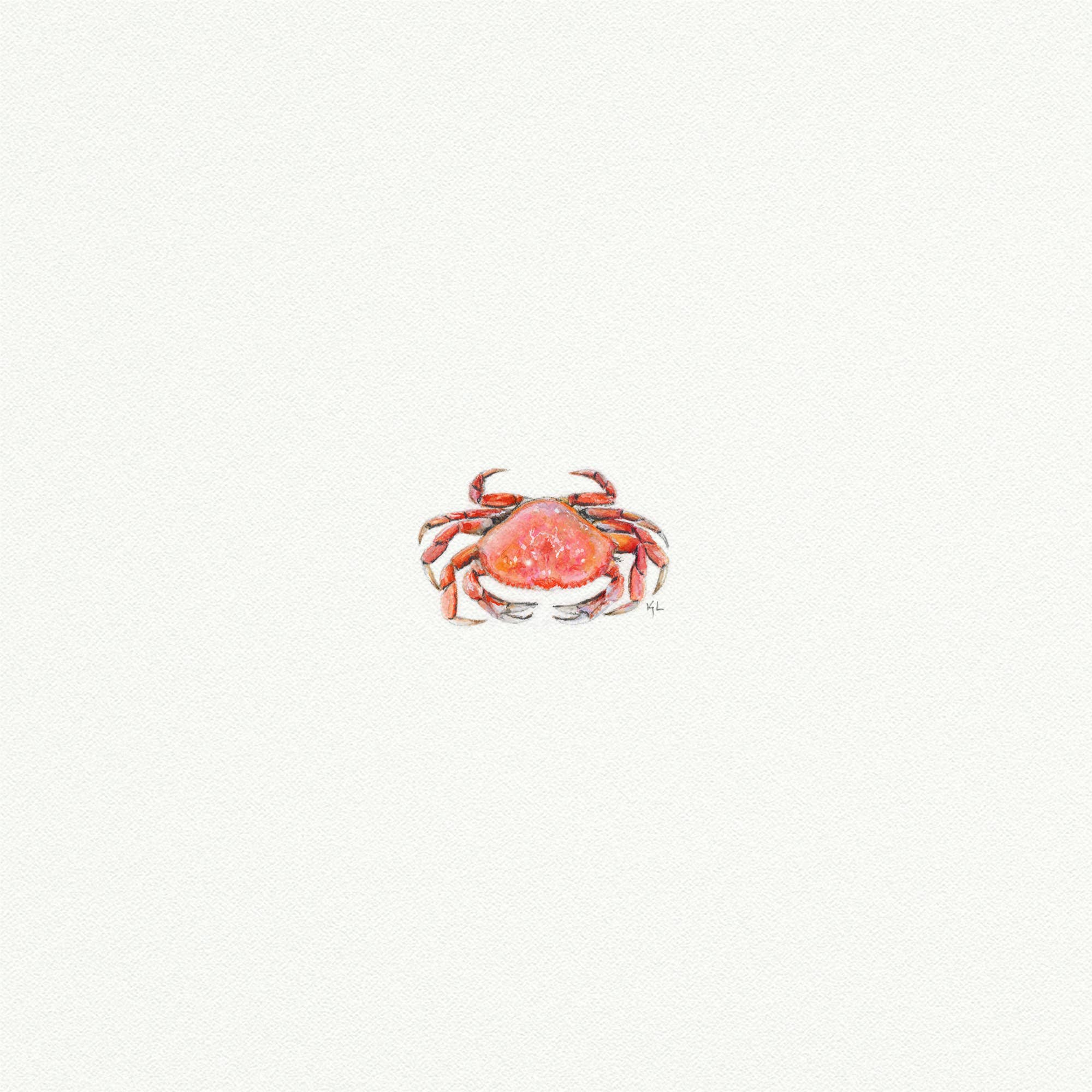 Crab Miniature Watercolor Print