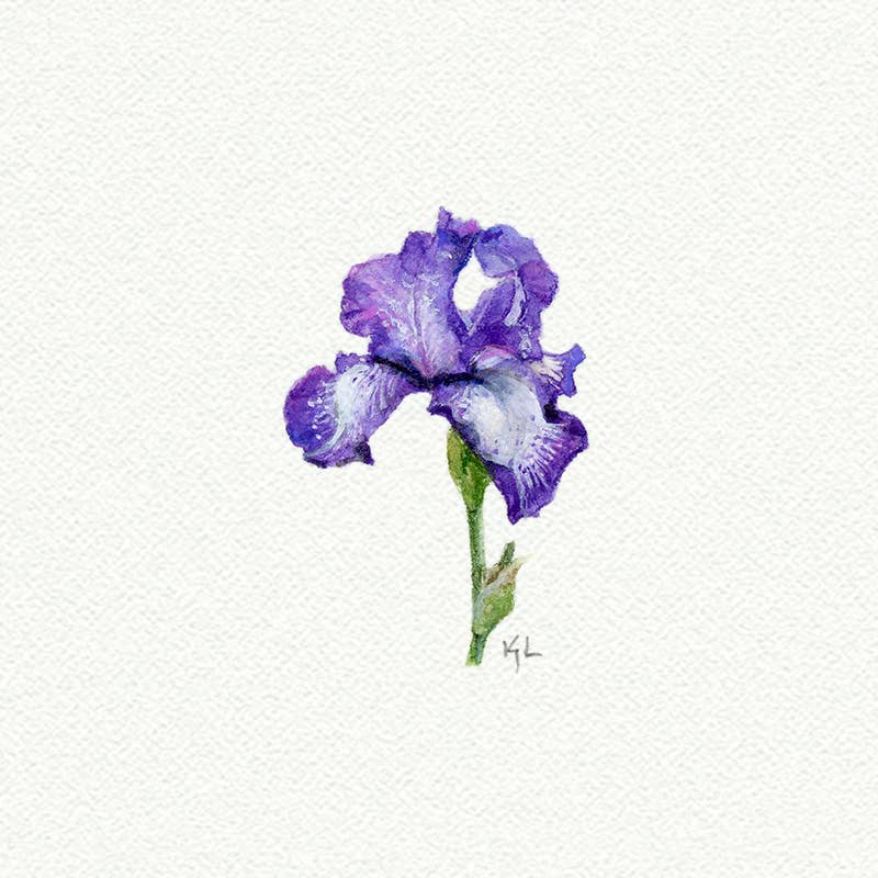 Iris Miniature Watercolor Print