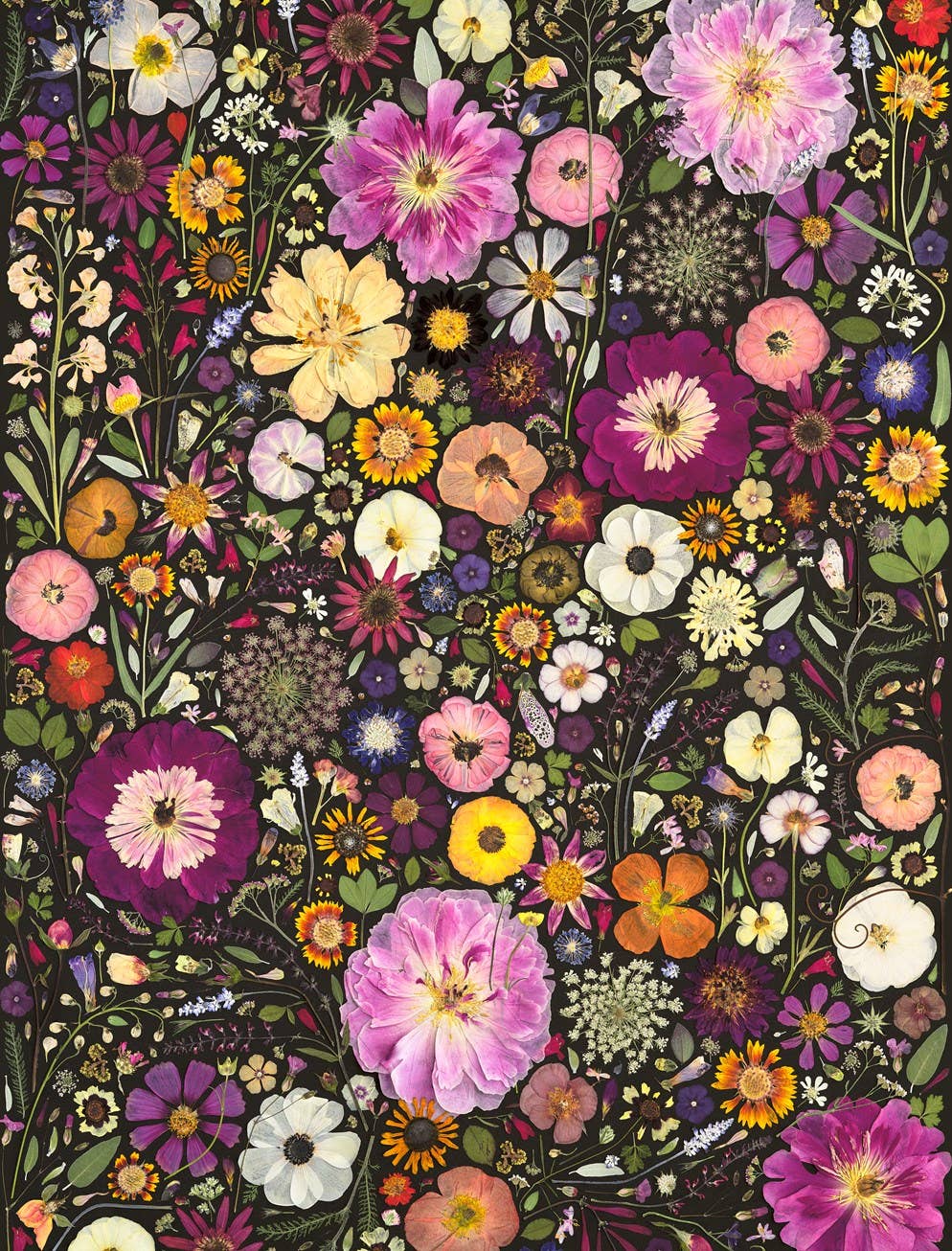Beautiful Blooms Wrapping Paper Book