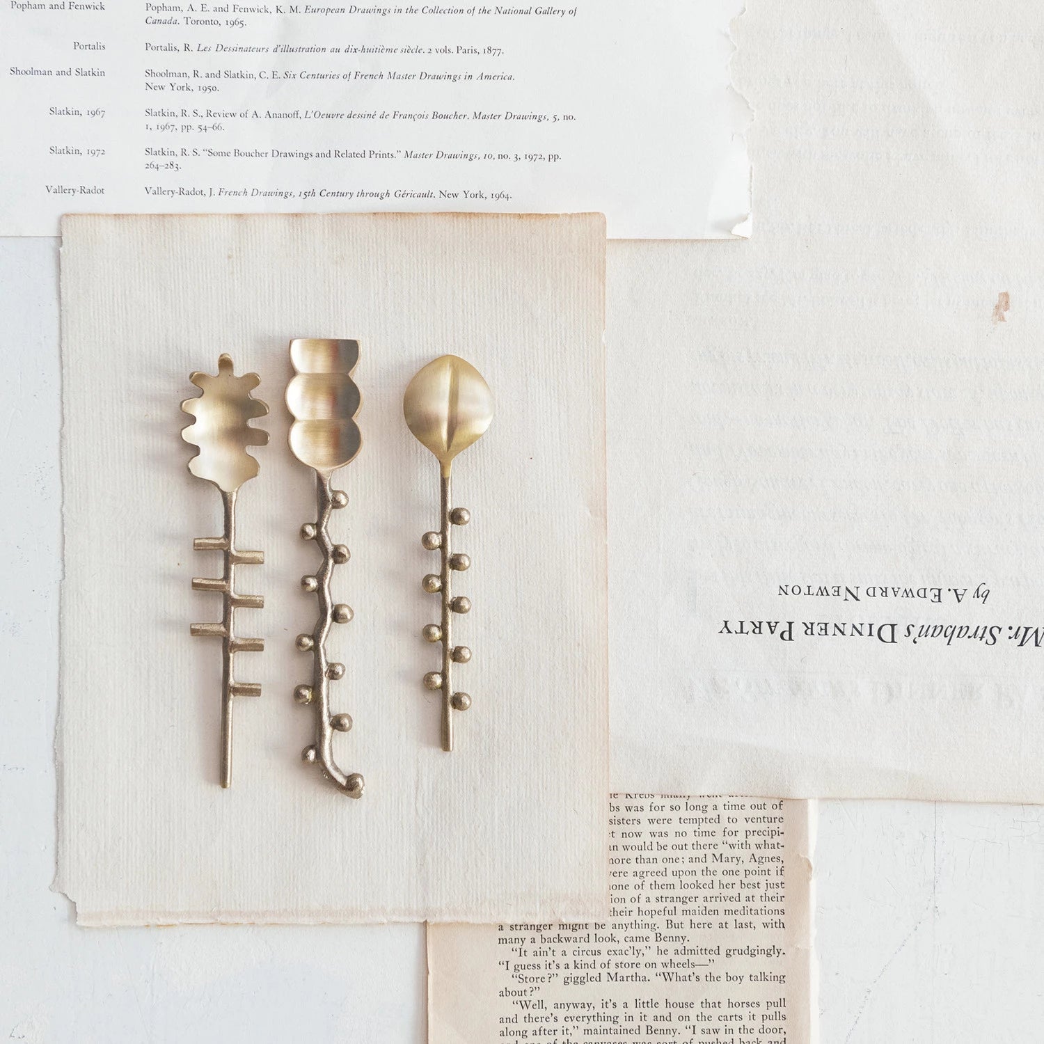 Abstract Brass Spoons - Box Turtle