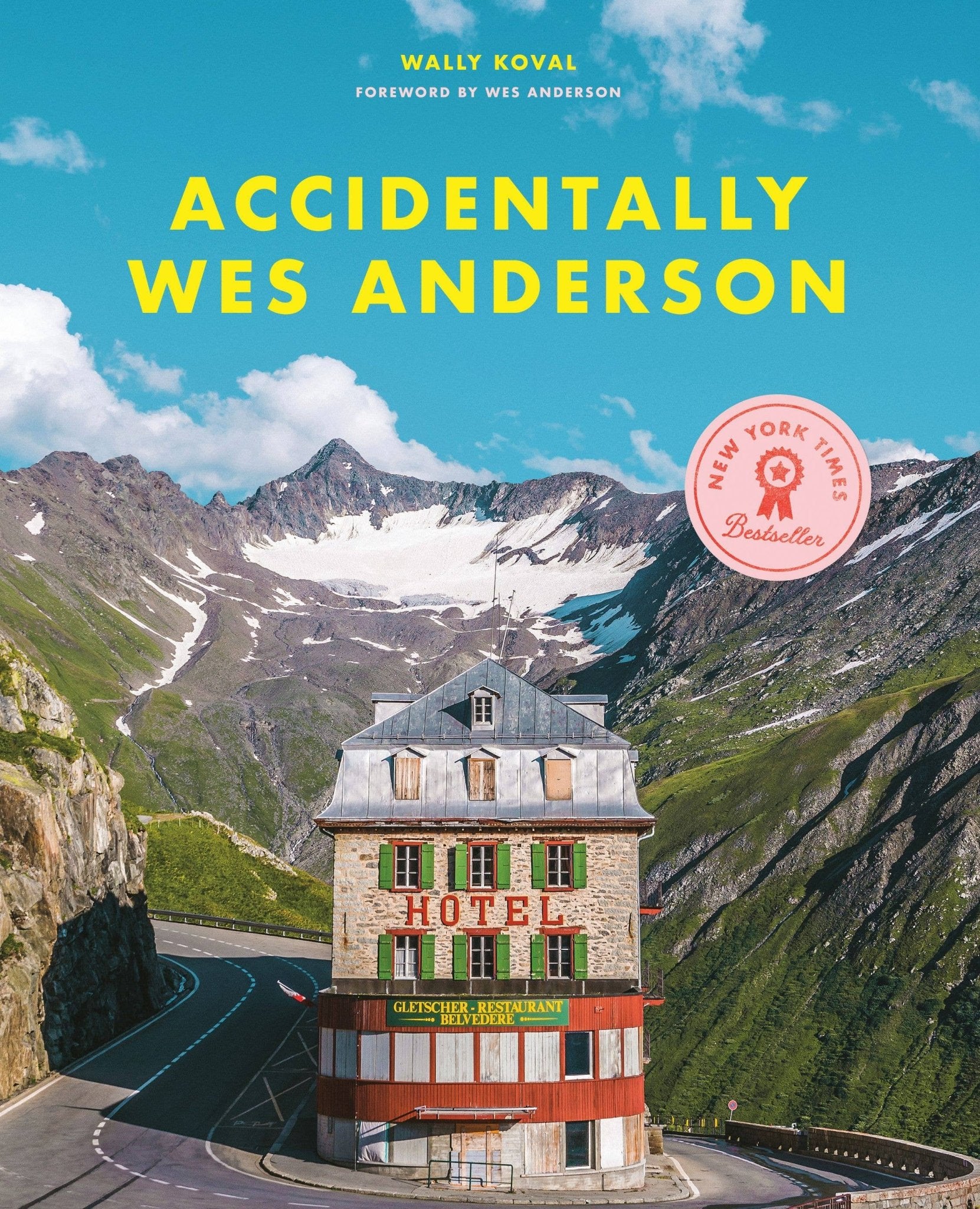Accidentally Wes Anderson - Box Turtle