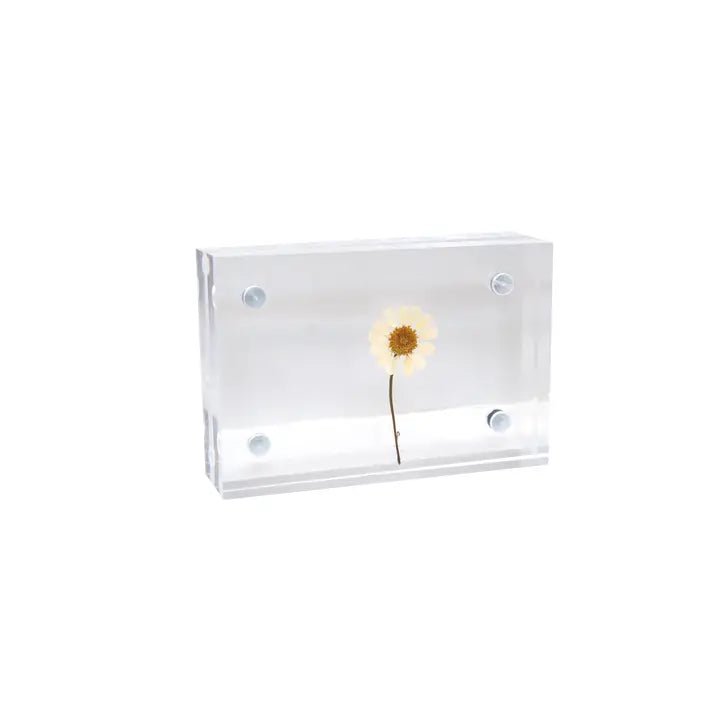 Acrylic Standing Frame - Box Turtle