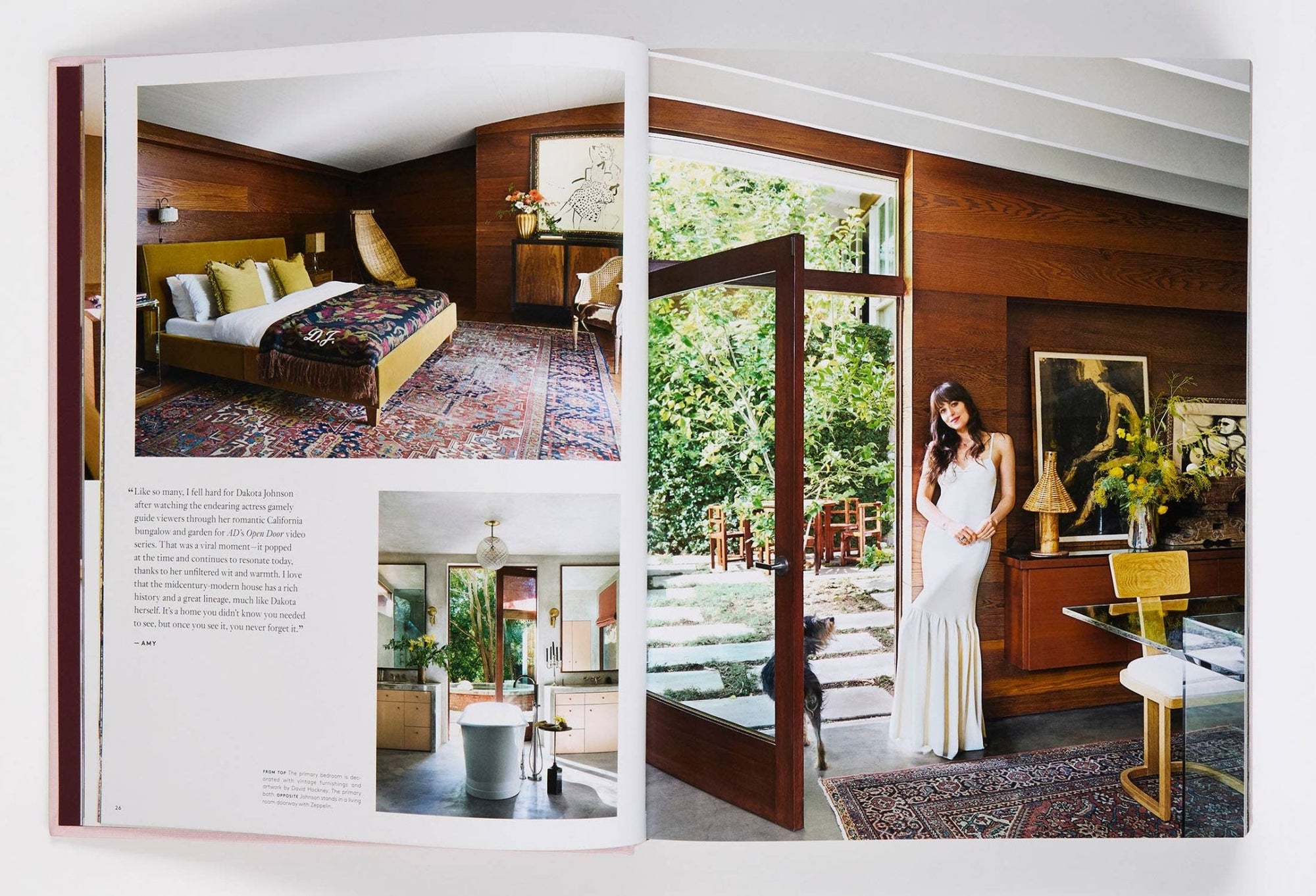 AD Architectural Digest - Box Turtle