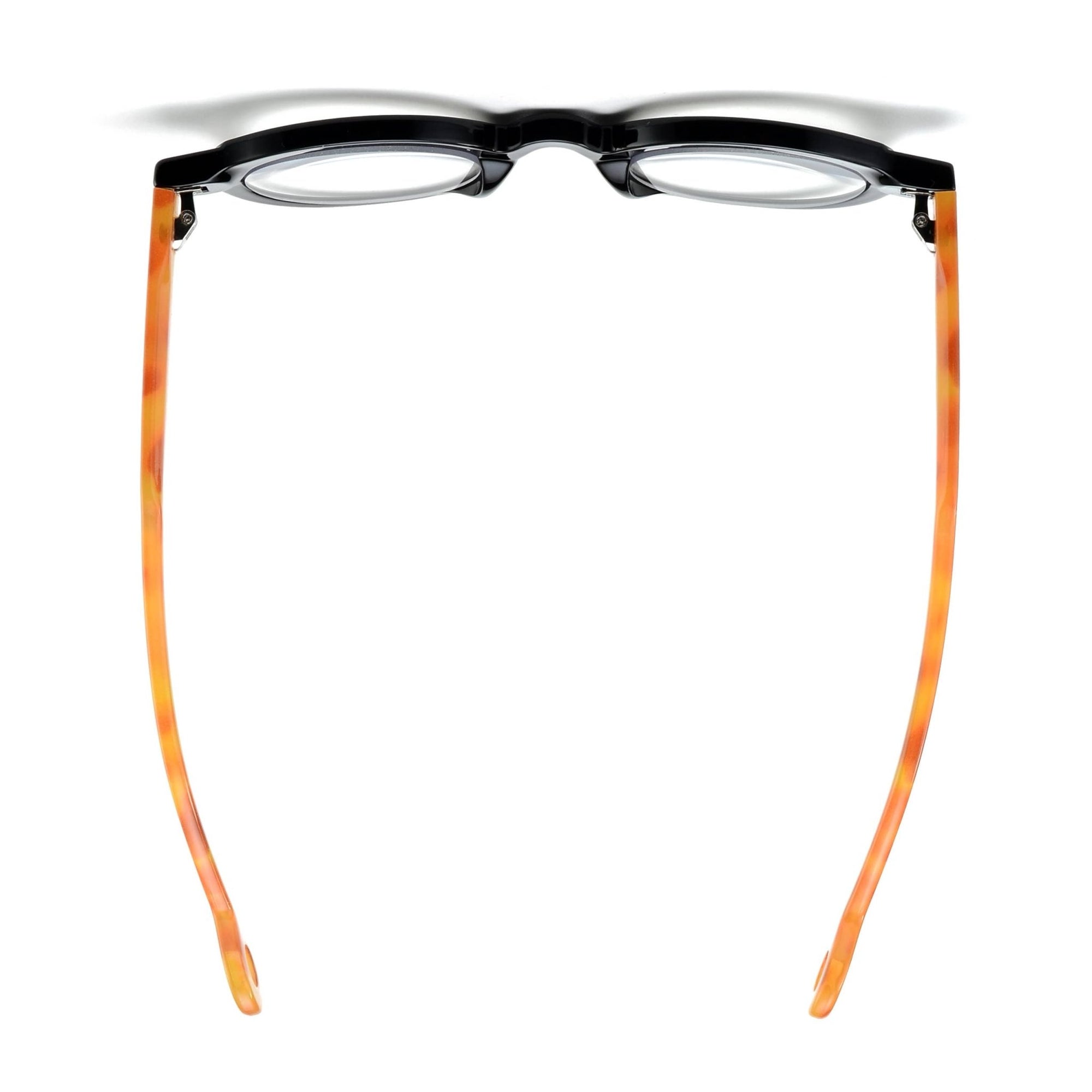 Adler - Black - Tortoise Temples - Box Turtle