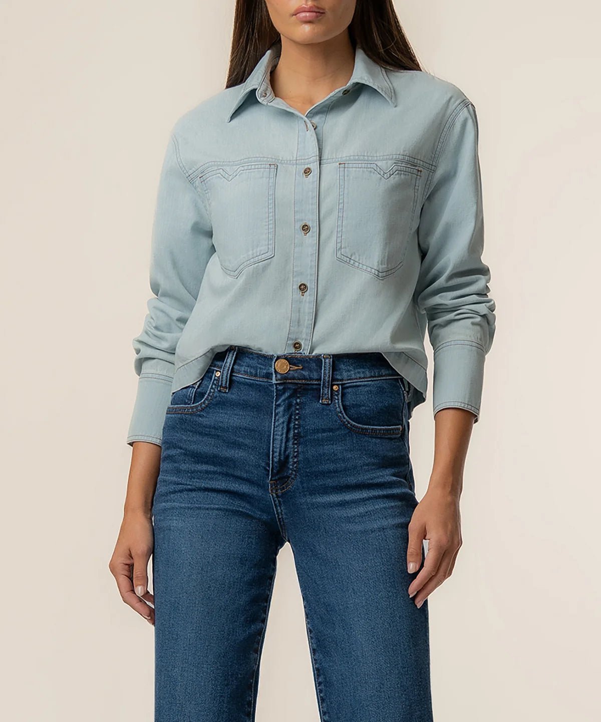 Advantage Wash Aubrey Denim Button Down - Box Turtle