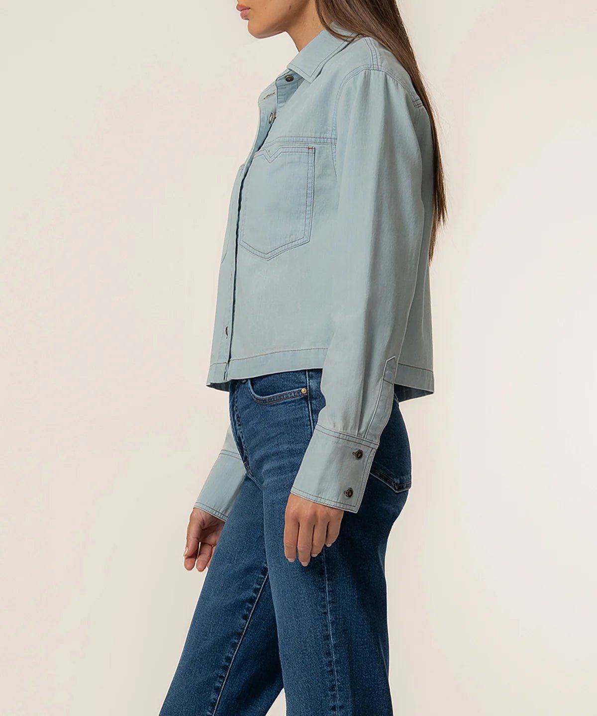 Advantage Wash Aubrey Denim Button Down - Box Turtle