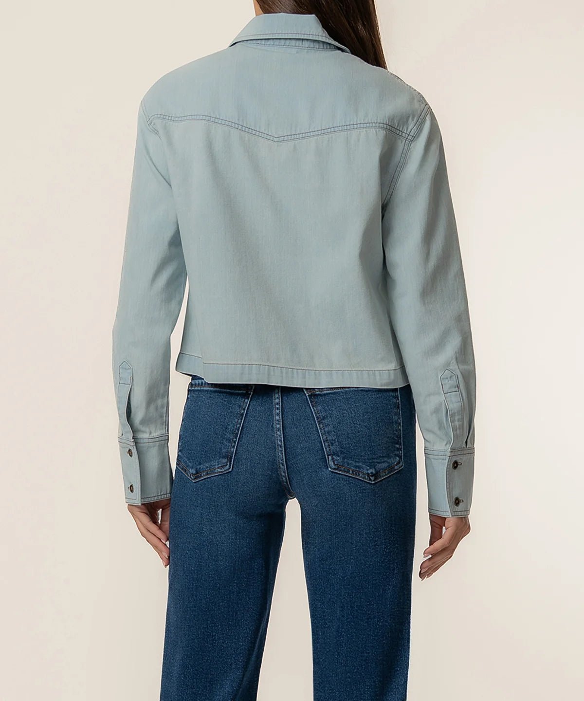 Advantage Wash Aubrey Denim Button Down - Box Turtle