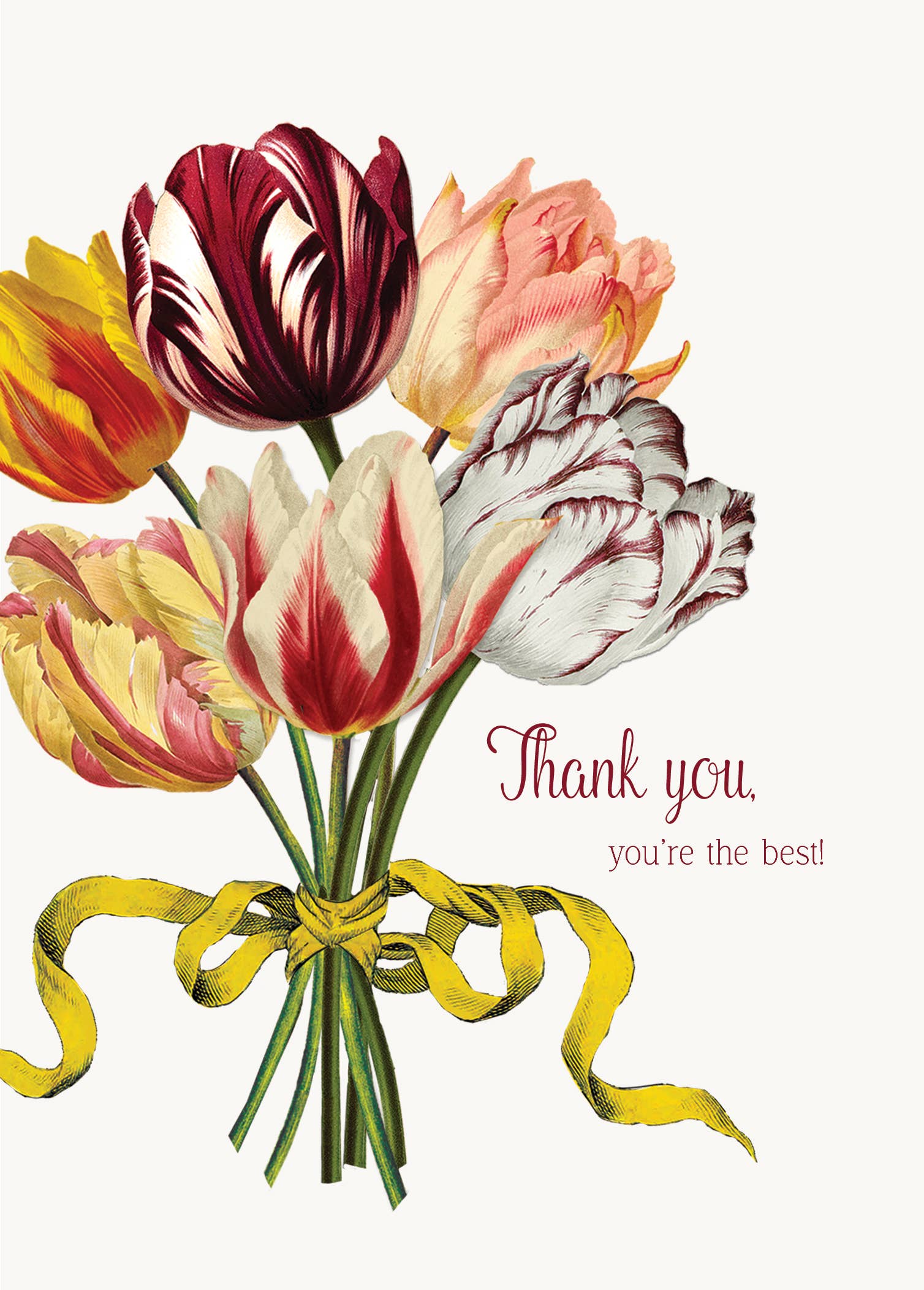 Thank you , you're the best! Greeting Card