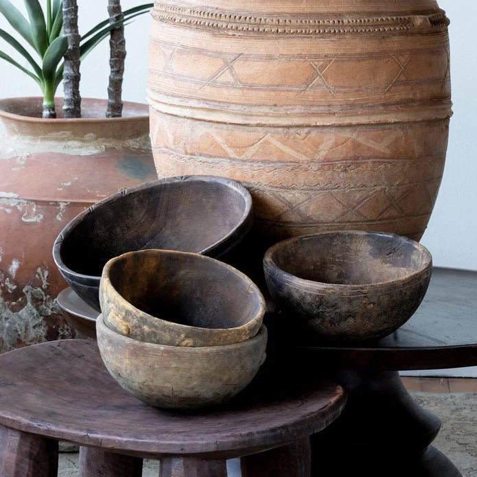 African Milking Bowl - Box Turtle