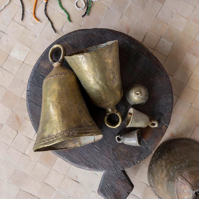 African Shepherds Bell - Box Turtle