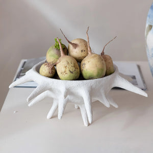Urchin Bowl
