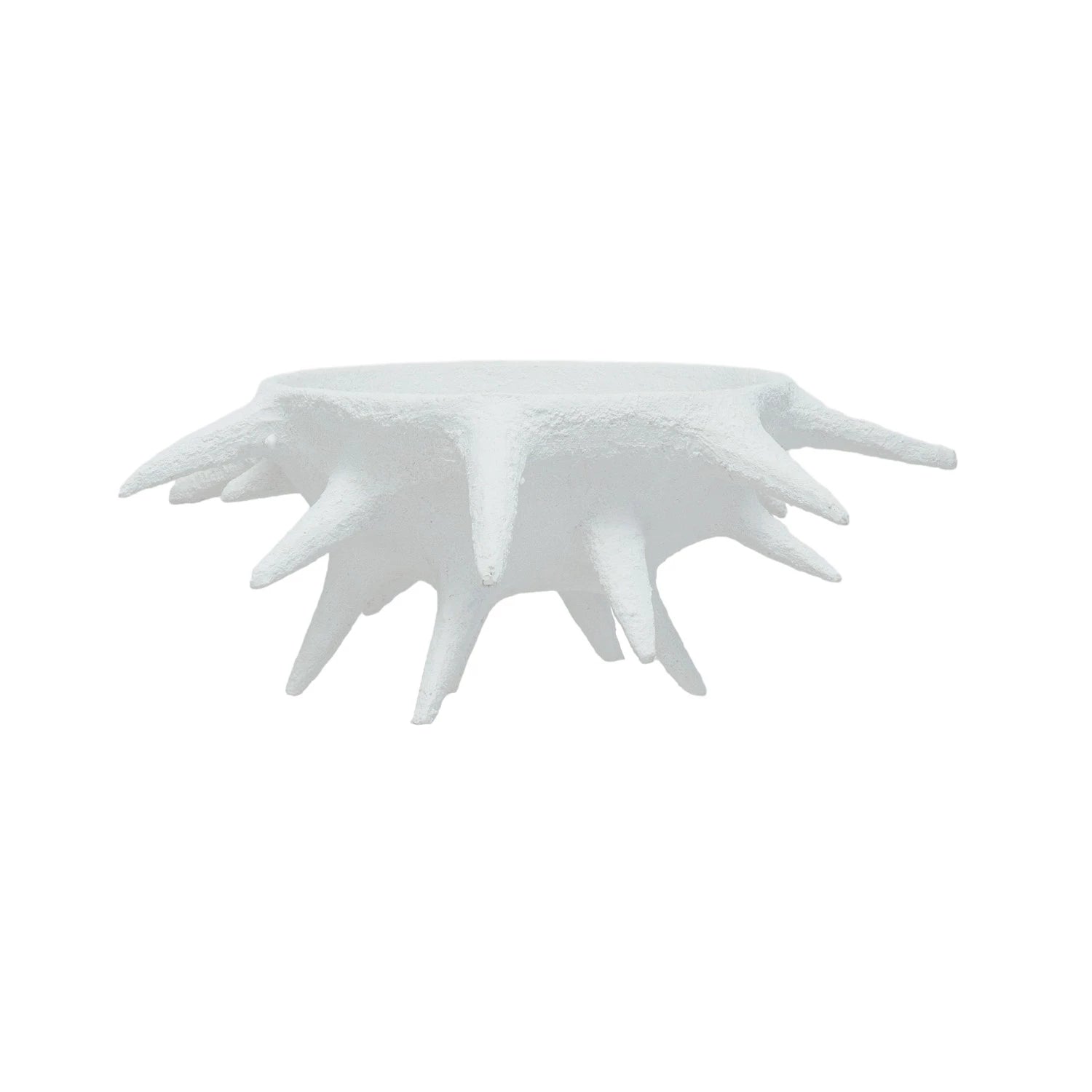 Urchin Bowl
