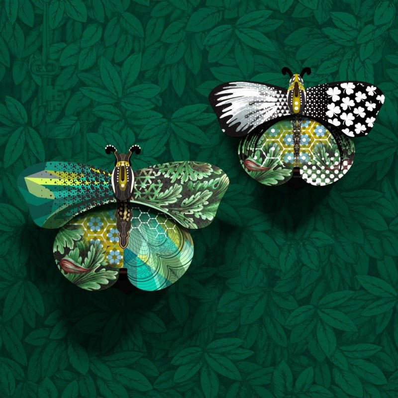 Aida Decorative Butterfly with Mirror - Box Turtle