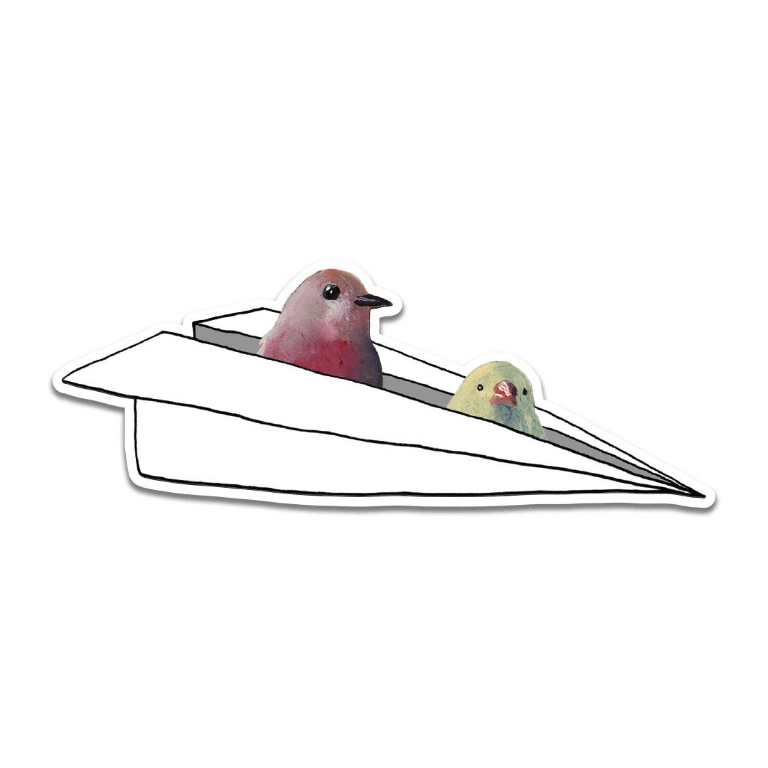 Airplane Birds Sticker - Box Turtle