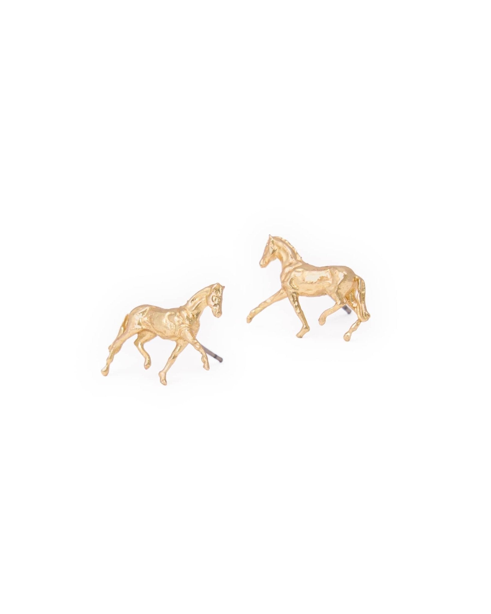 Alice Horse Post Brass Earrings - Box Turtle