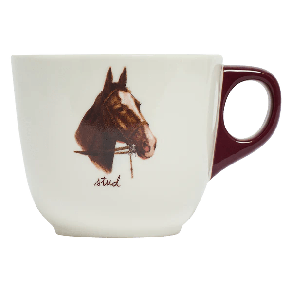 All in the Family Stud Mug - Box Turtle