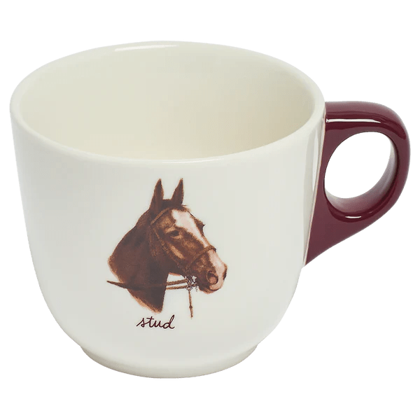 All in the Family Stud Mug - Box Turtle