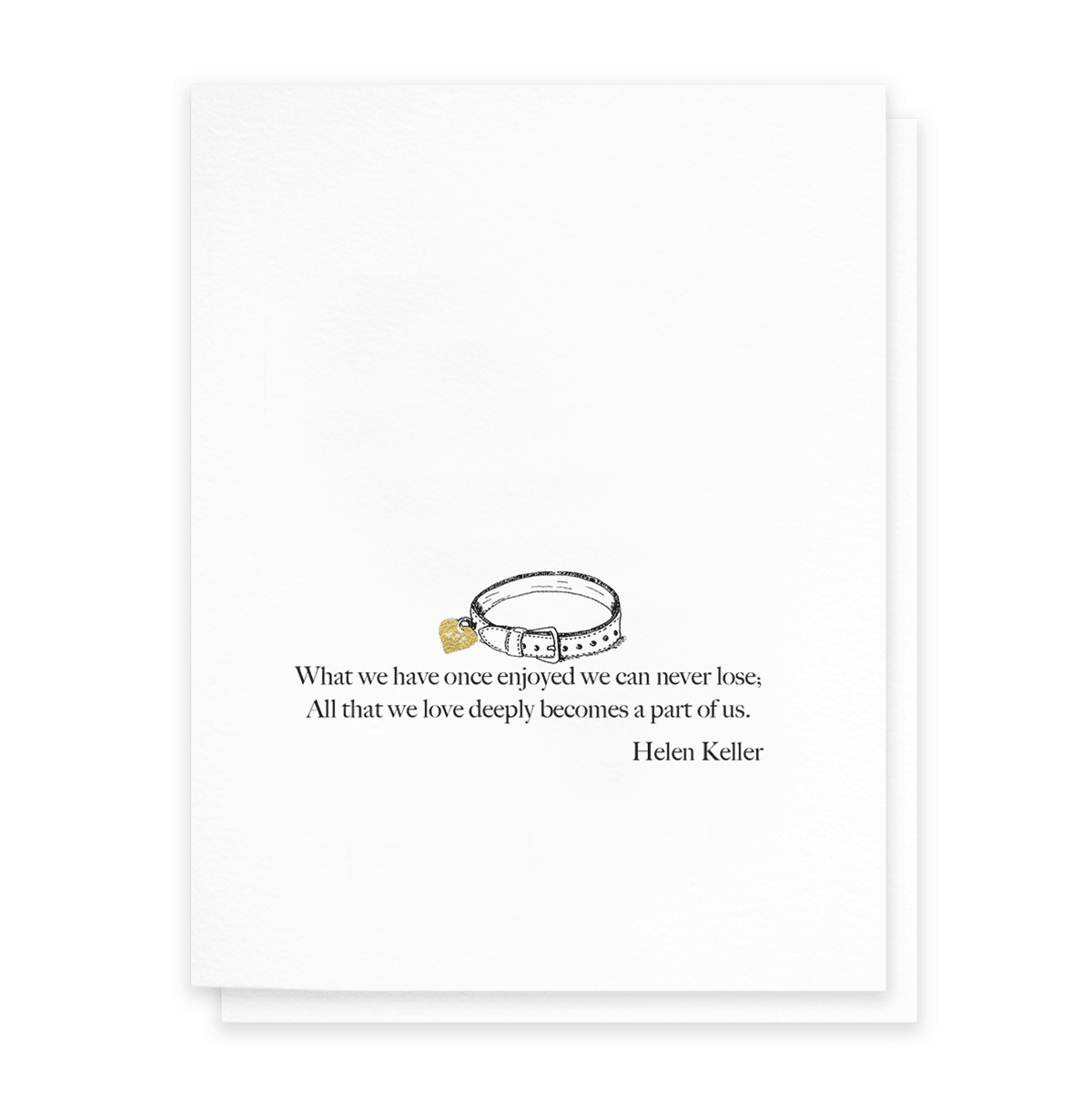 All That We Love Deeply, Pet Sympathy Greeting Card - Box Turtle