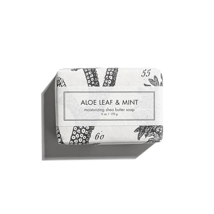 Aloe Leaf & Mint - Shea Butter Soap - Box Turtle