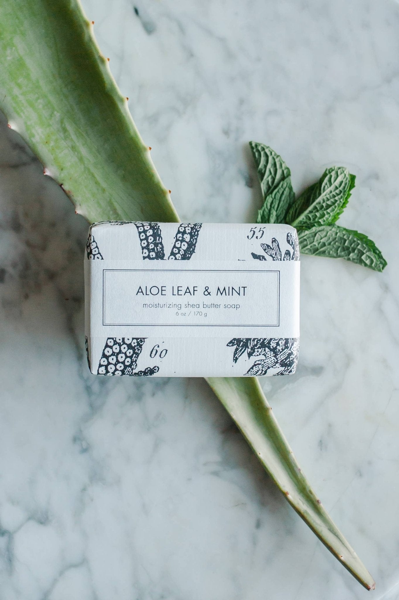Aloe Leaf & Mint Soap - Box Turtle