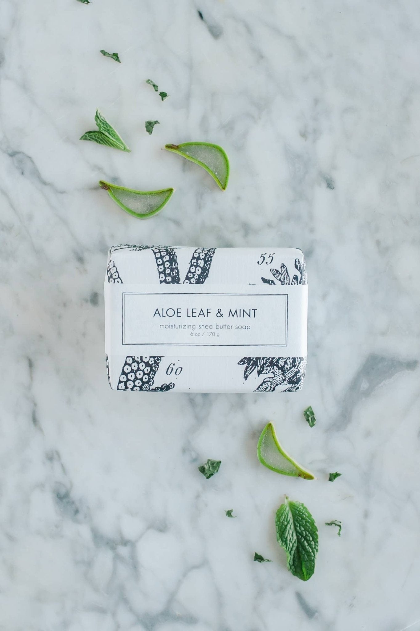 Aloe Leaf & Mint Soap - Box Turtle