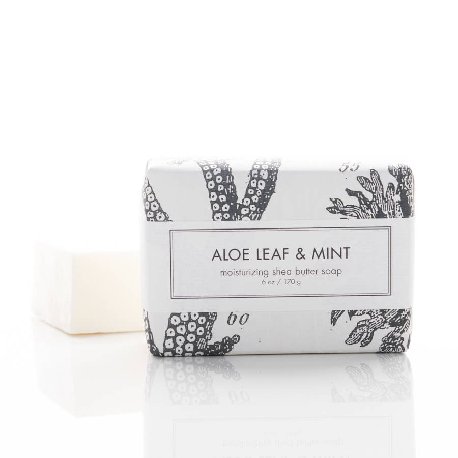 Aloe Leaf & Mint Soap - Box Turtle