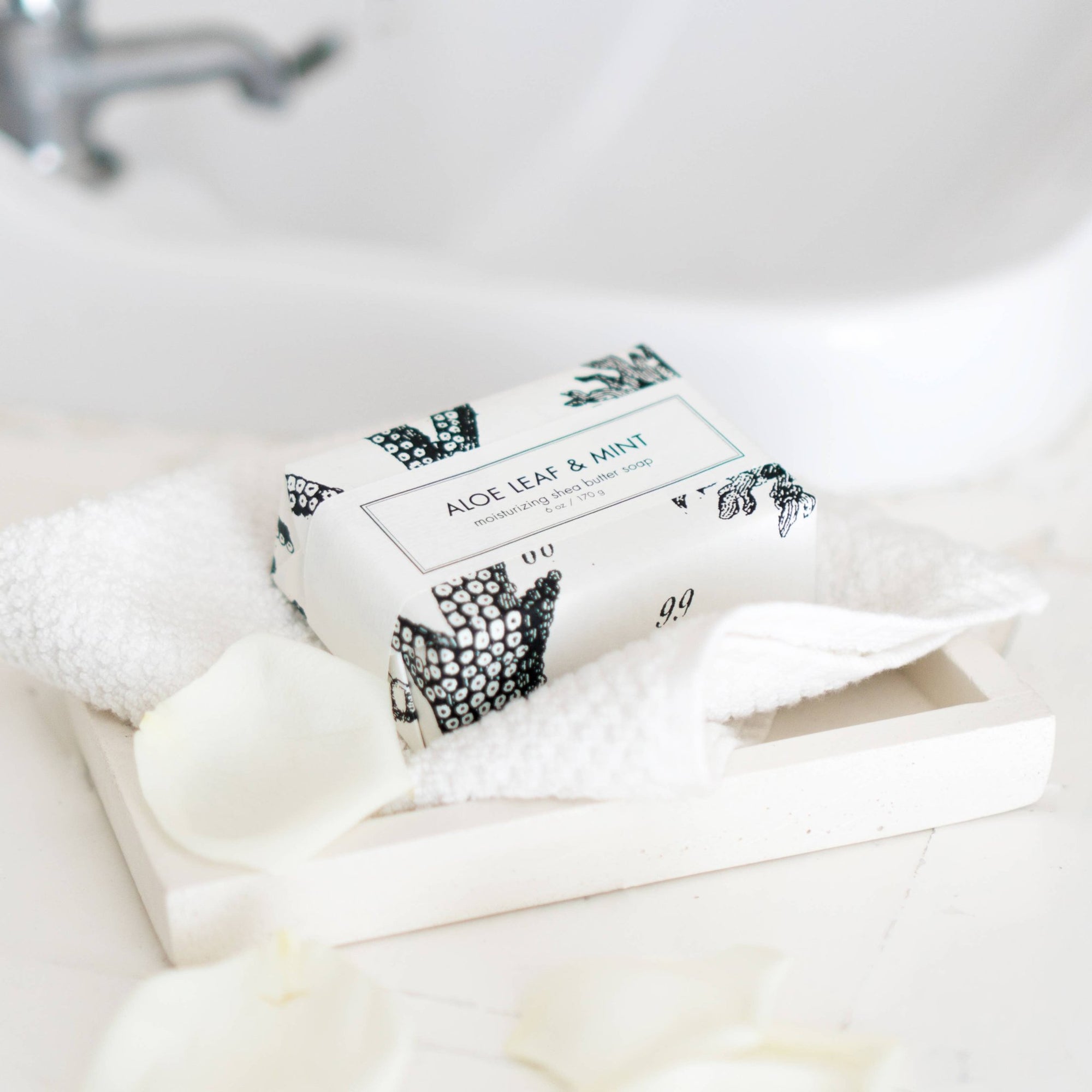 Aloe Leaf & Mint Soap - Box Turtle