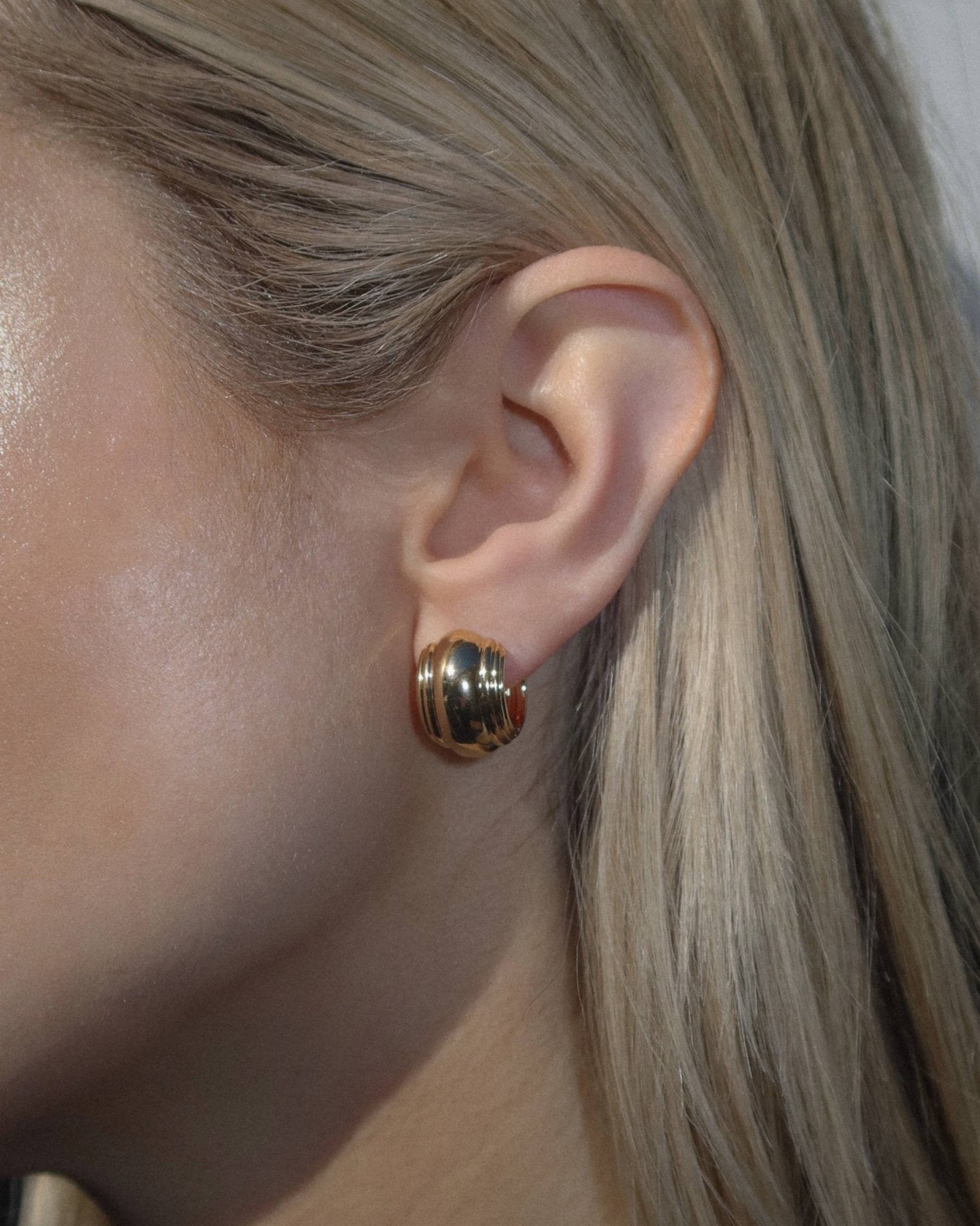 Alondra Hoops - Box Turtle