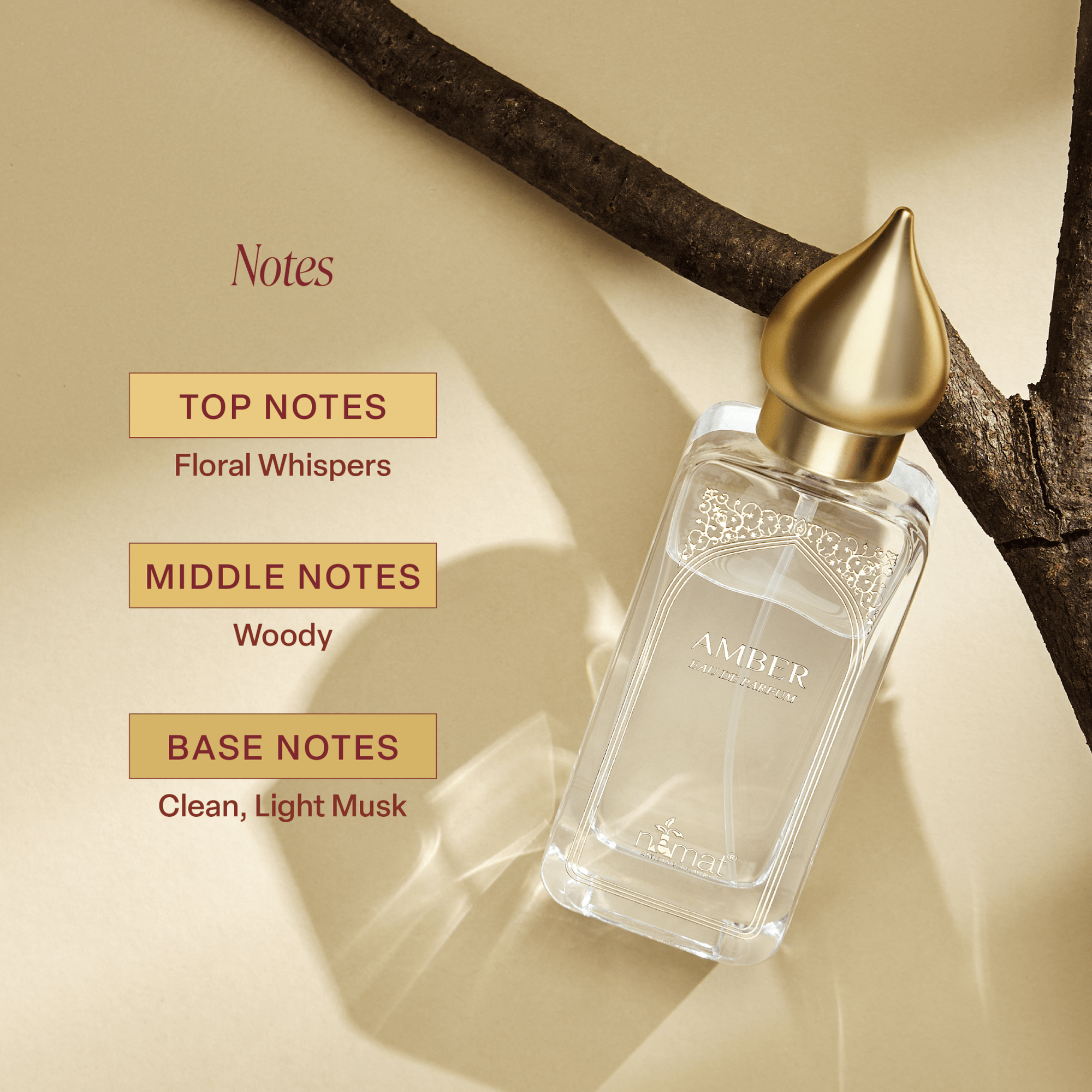 Amber Eau de Parfum - Box Turtle